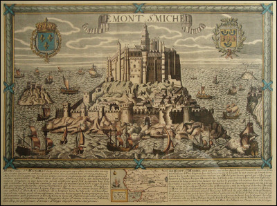 Quels animaux marins peut-on croiser dans la baie de Saint-Michel ?