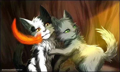 Des chatons se font séparer de leur mère car les clans ont besoin deux pour leur survie. Cependant aucun clan ne veut de la maman des chatons. Que fais-tu ?