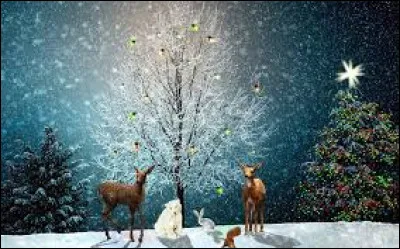 Pour patienter jusqu'à Noël, rien de tel qu'un calendrier de l'Avent. Combien de cases comporte-t-il ?