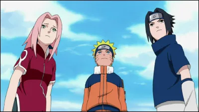 Qui prononce cette phrase : ''Tu ne fais que m'ennuyer...'' dans ''Sasuke et Sakura, amis ou ennemis ?'' ?
