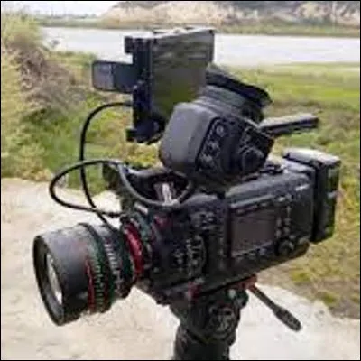 Quel mot anglais désigne un déplacement de caméra par rapport au sujet pendant une prise de vues ?