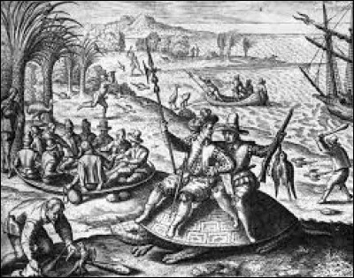 1698 - 100 ans plus tard, les Hollandais décident de tenter une colonisation avec les Mauriciens qui ne sont pas blancs. Ils abandonnent en 1710 mais, pourquoi ?