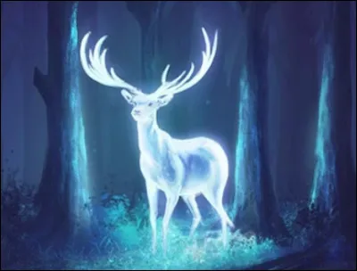Si je vous dis Patronus...
