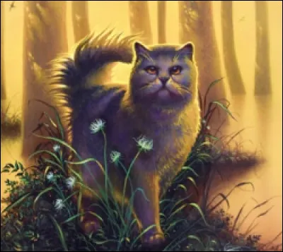 Je suis le fils de Croc Jaune :