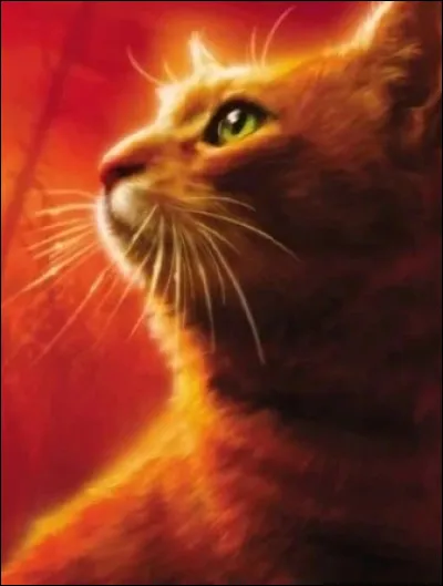 Je suis le meilleur ami d'Étoile de Feu...