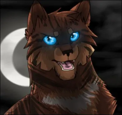 Je suis la sur de Plume de Faucon...