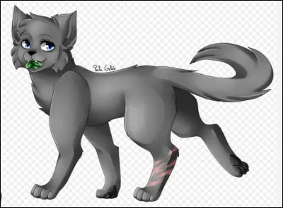 Je suis la réincarnation de Museau cendré...