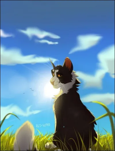 Qui sont les deux chattes descendant du Clan du Ciel que Cur d'Aulne et Plume d'Aiguille ont trouvées sous un Chemin du Tonnerre au retour de leur voyage ?