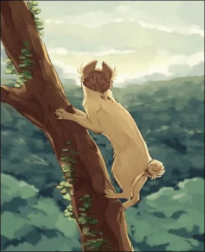 Où vit le Clan du Ciel après être retourné au lac ?