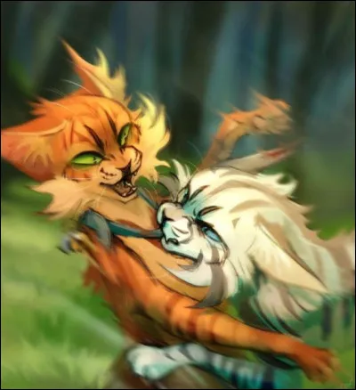 Comment combattent-ils ?