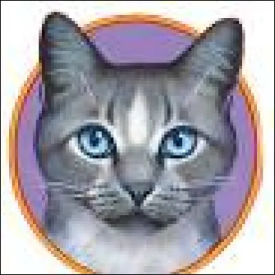 Quel meneur du Clan du Ciel a dû emmener son Clan sur un autre territoire que celui des clans ?