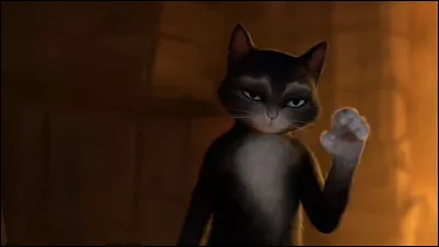 Comment s'appelle cette chatte noire du film "Le Chat Potté" ?