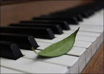 Qui a chanté "Sous le vent" avec Garou ?