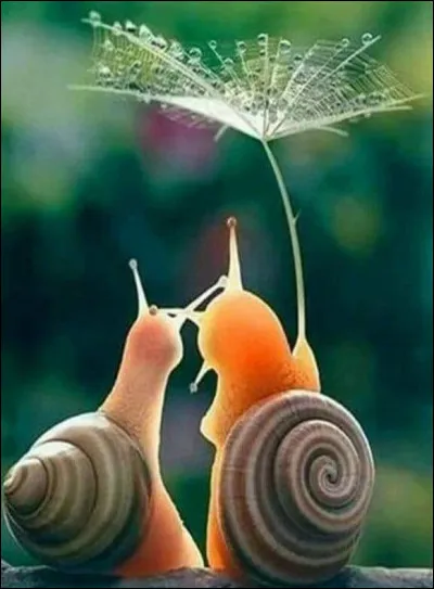 Par qui sont signés les vers "À l'enterrement d'une feuille morte, deux escargots s'en vont, ils ont la coquille noire, du crêpe autour des cornes, ils s'en vont dans le noir un très beau soir d'automne..." ?