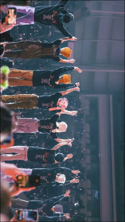 Comment se nomme le fandom de Stray Kids ?