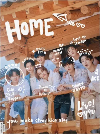 Quelle est la tranche d'âge des membres de Stray Kids ?