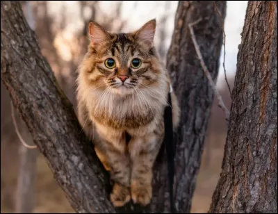 Soit ....... heures par jour.