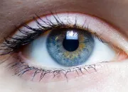 Quiz Tout sur les yeux