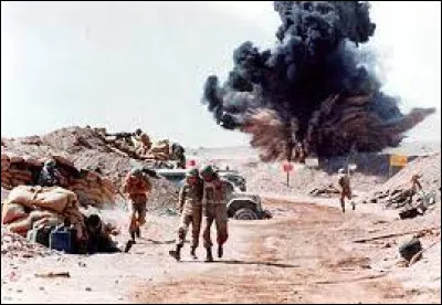 Quelle part des prisonniers détenus en 2019 en Iran correspond à des individus de la population kurde ?