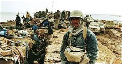 En 2008, selon Amnesty International, combien d'exécutions sommaires ont été réalisées par l'Iran ?