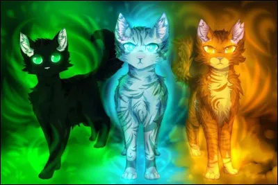 Quelle est ta principale qualité ?