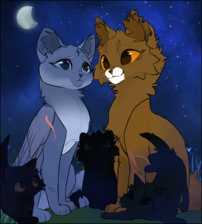 Quel est ton grade ?