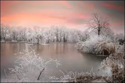 Adolf Hitler est décédé en 1946 !