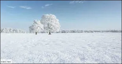 Le calcium compose surtout vos muscles !