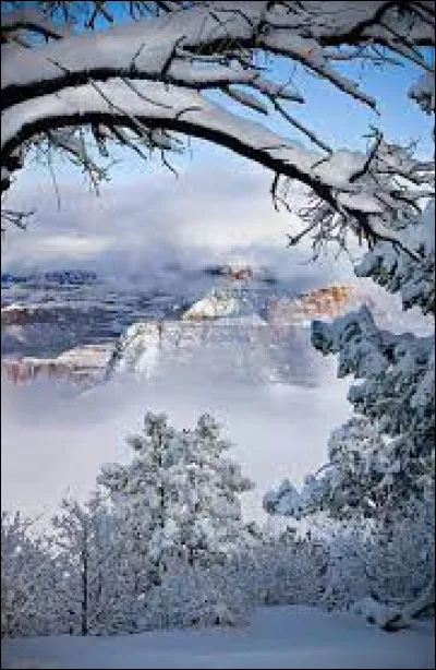 L'interprète d'Albus Dumbledore, Michael Gambon, est décédé avant le premier interprète de ce personnage, Richard Harris !