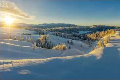 L'anglais est la langue la plus enseignée en France au collège !