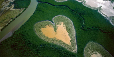 Quel titre porte le premier recueil de photographies de Yann Arthus-Bertrand publié en 1981 ?