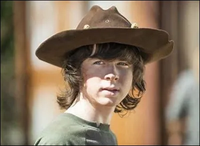 Dans quelle série peut-on voir le personnage nommé Carl Grimes ?
