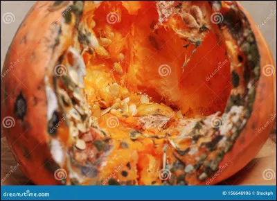 Quel est ce légume pourri ?