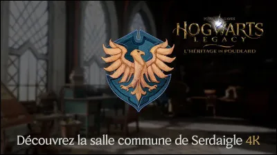 Et enfin, la maison Serdaigle est-elle plus du côté de Potter ou du côté de Voldemort ?