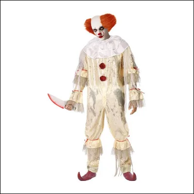 En quoi est déguisée cette personne ?