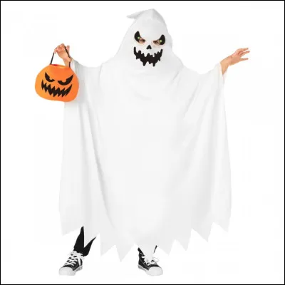 En quoi est déguisée cette personne ?