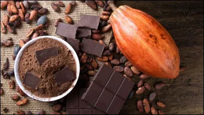 Quel explorateur aurait jet&eacute; &agrave; la mer des f&egrave;ves de cacao les prenant pour des crottes de ch&egrave;vre ?