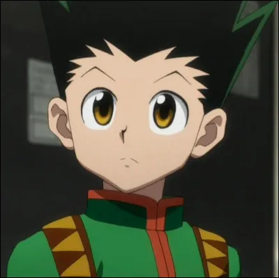 Dans quel animé peut-on retrouver Gon Freecss ?