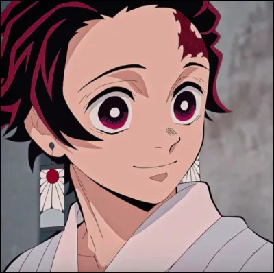 Dans quel animé peut-on retrouver Tanjiro Kamado ?