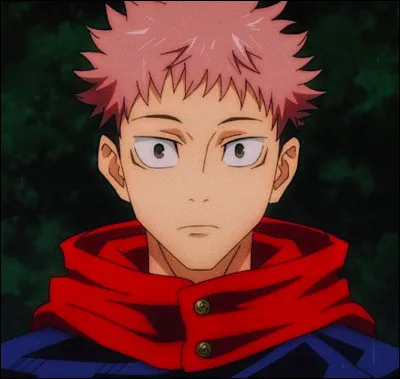 Dans quel animé peut-on retrouver Yuji Itadori ?