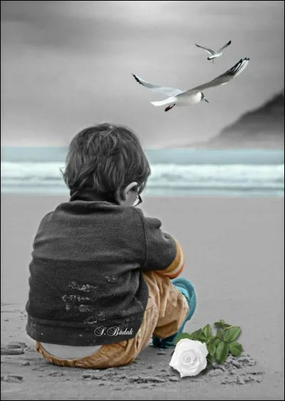 À qui appartiennent ces paroles émouvantes décrivant la séparation d'un couple, et s'adressant à leur enfant : 
"Écoute le vent quand il va tomber
Il te dira où il va se coucher
Il te dira pourquoi il se met en colère
Il te dira pourquoi j'ai fait pleurer ta mère"