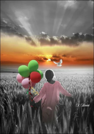 Qui chantait les mots "Et parce que ma peau est la seule que j'ai, que bientôt mes os seront dans le vent..."