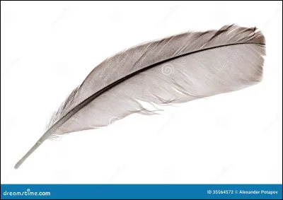 Quel personnage est représenté par cette image ?