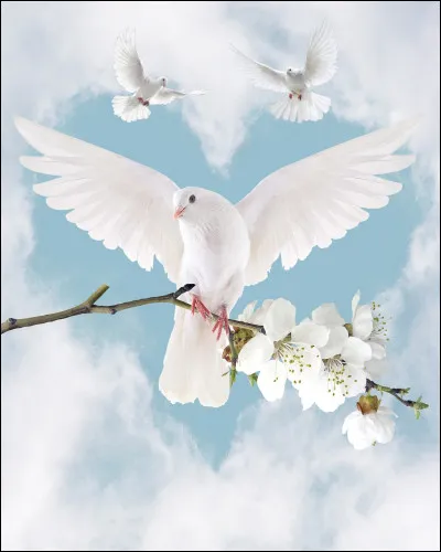 Quel personnage est représenté par cette image ?