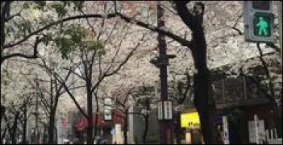 Ce terme signifie "Roi" en chinois.