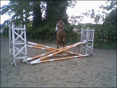 Quel est cet obstacle ?