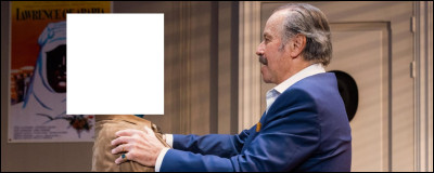 Qui partage l'affiche de la pièce de théâtre ''Les Pigeons'' avec Michel Leeb ?