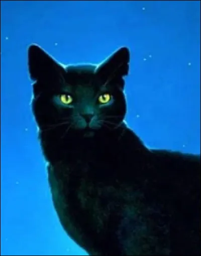 Étoile Noire n'a jamais reçu ses neuf vies.