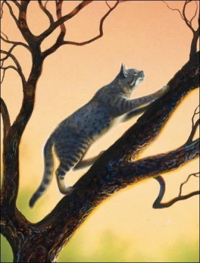 Etoile de Ronce s'est entrainé dans la forêt sombre .