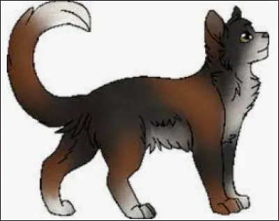 Sol a prédit que le Soleil disparaitrait.